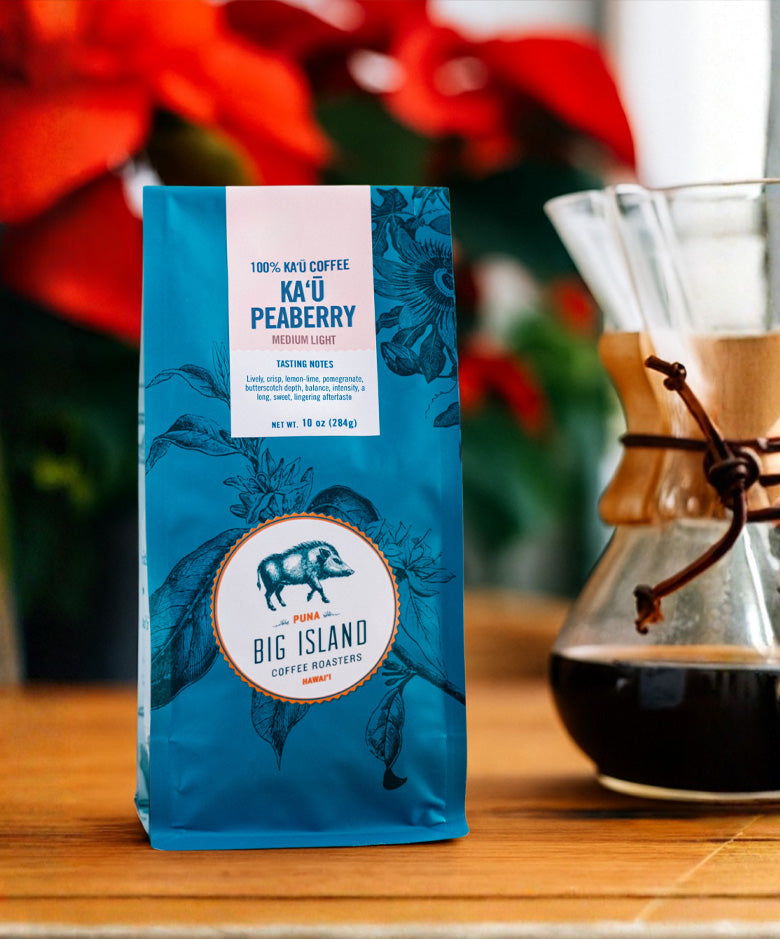 Medium roast Kau Peaberry holiday shoot