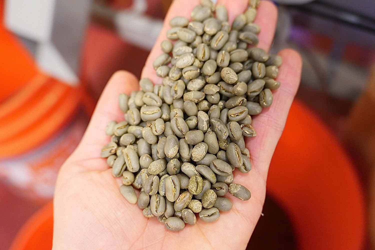 Green Peaberry Coffee Beans Unroasted