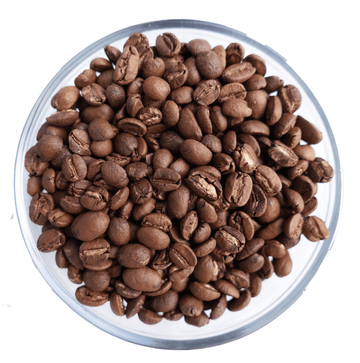 whole bean 100% Maui Coffee roasted