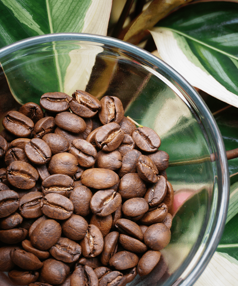 Medium roast Ka'u Coffee beans from Hawaii